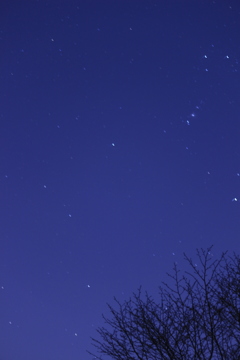 星空？