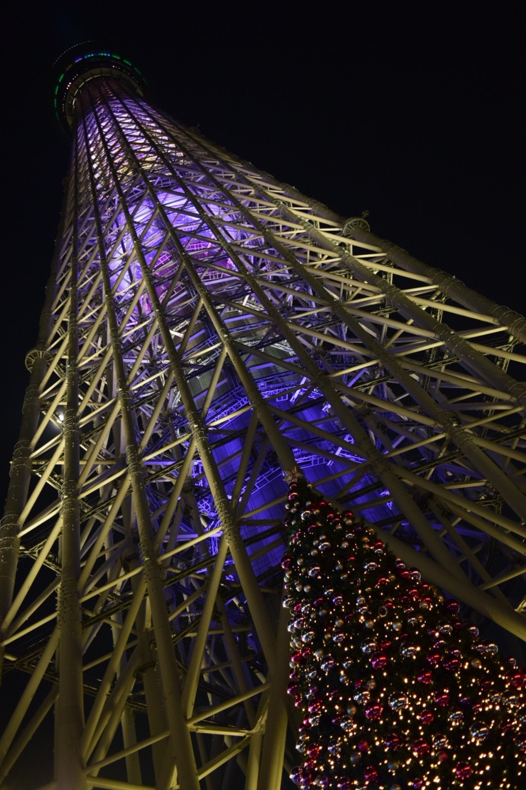 スカイツリーとクリスマスツリー