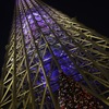 スカイツリーとクリスマスツリー