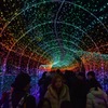 東京ドイツ村2