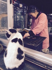 焼きいか♡ﾆｬﾝ