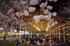 HIROSAKI