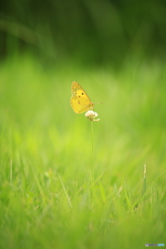 20150826151635_IMG_2528