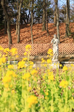 20160104110248_IMG_4402