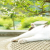ひなたぼっこ