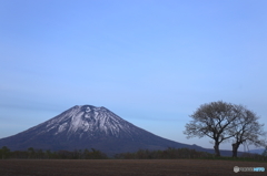 羊蹄山　1