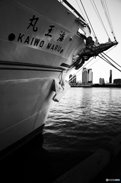 海王丸3