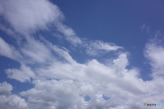夏雲