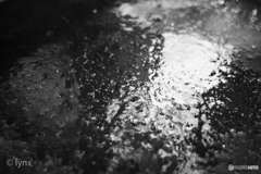 氷