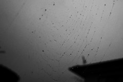 水玉