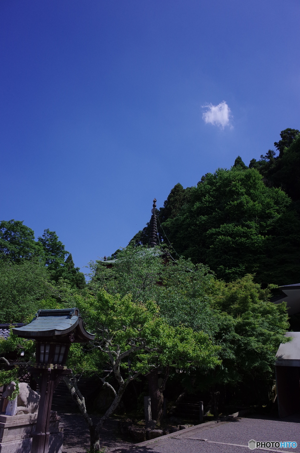 ぽっ。