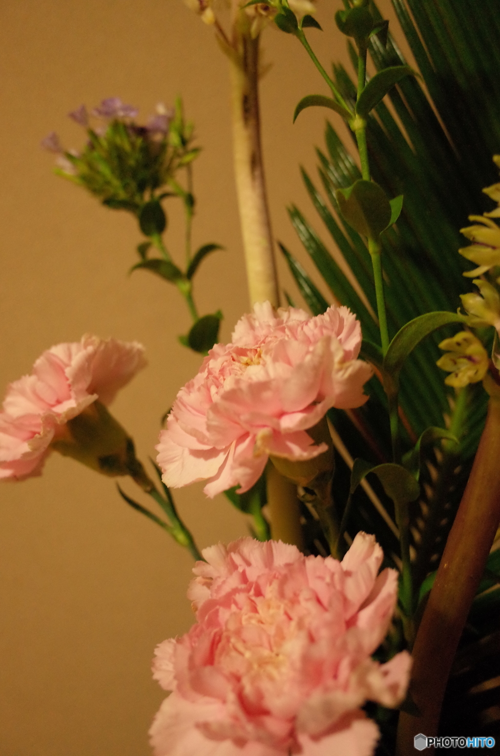 生花