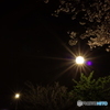 春の夜から