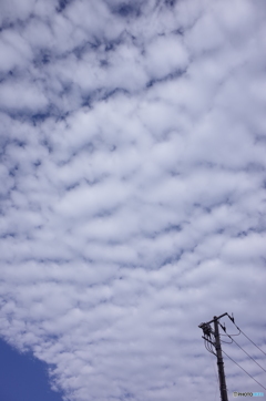 うろこ雲