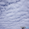 うろこ雲