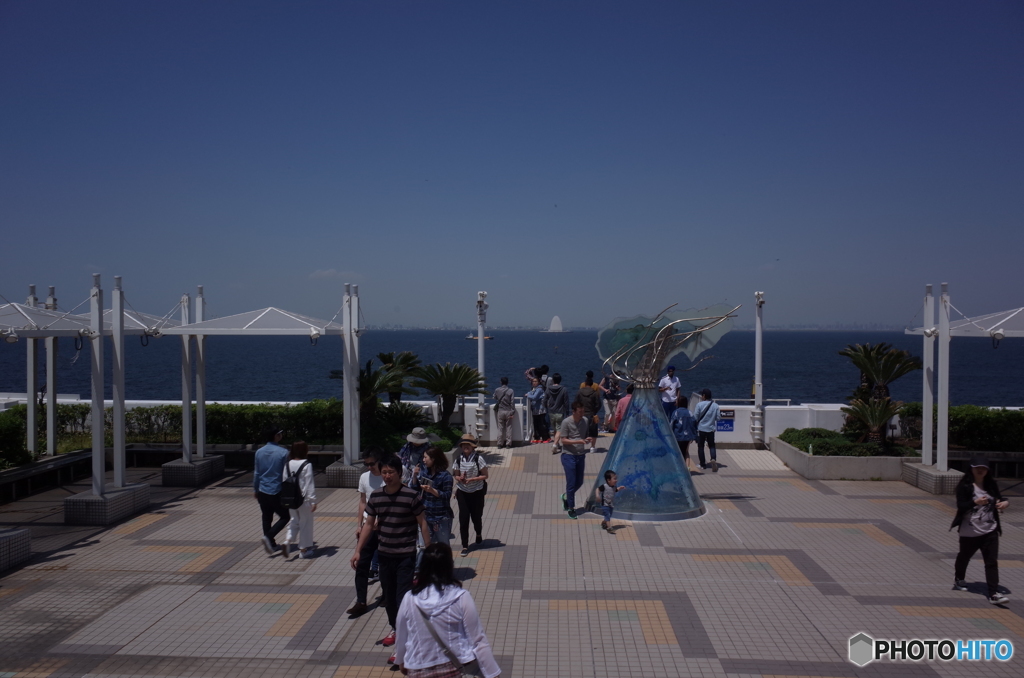 うみほたる