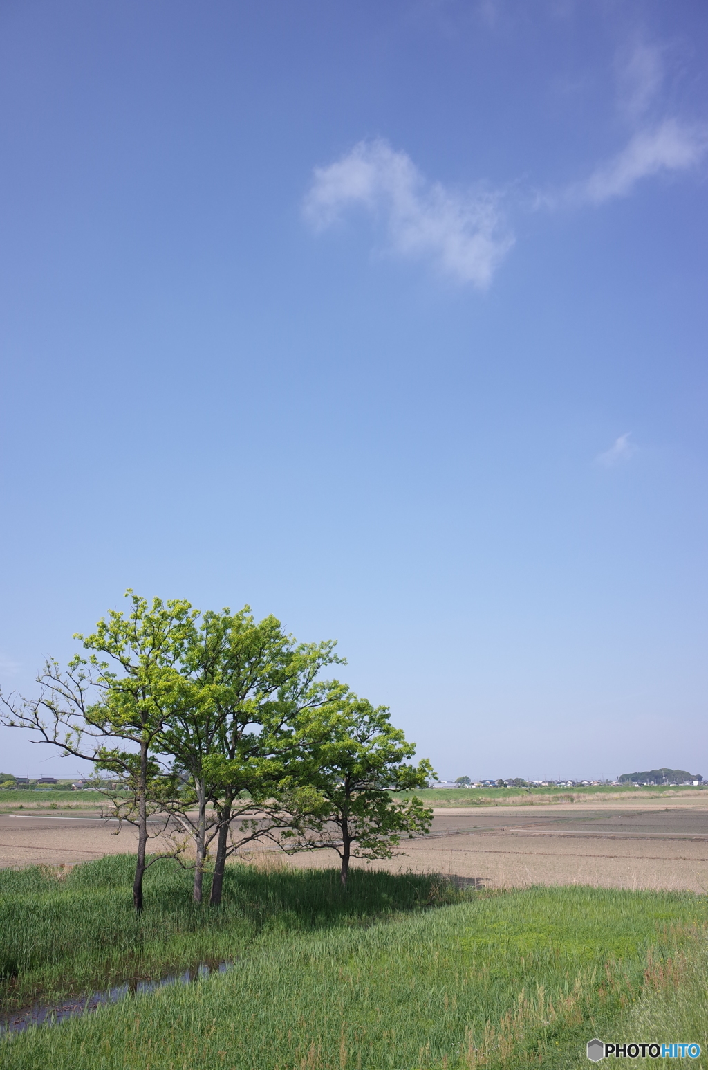 初夏の陽気