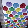 雨傘のドロップ
