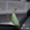 同乗者