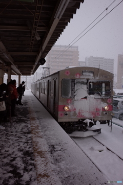 雪まみれ