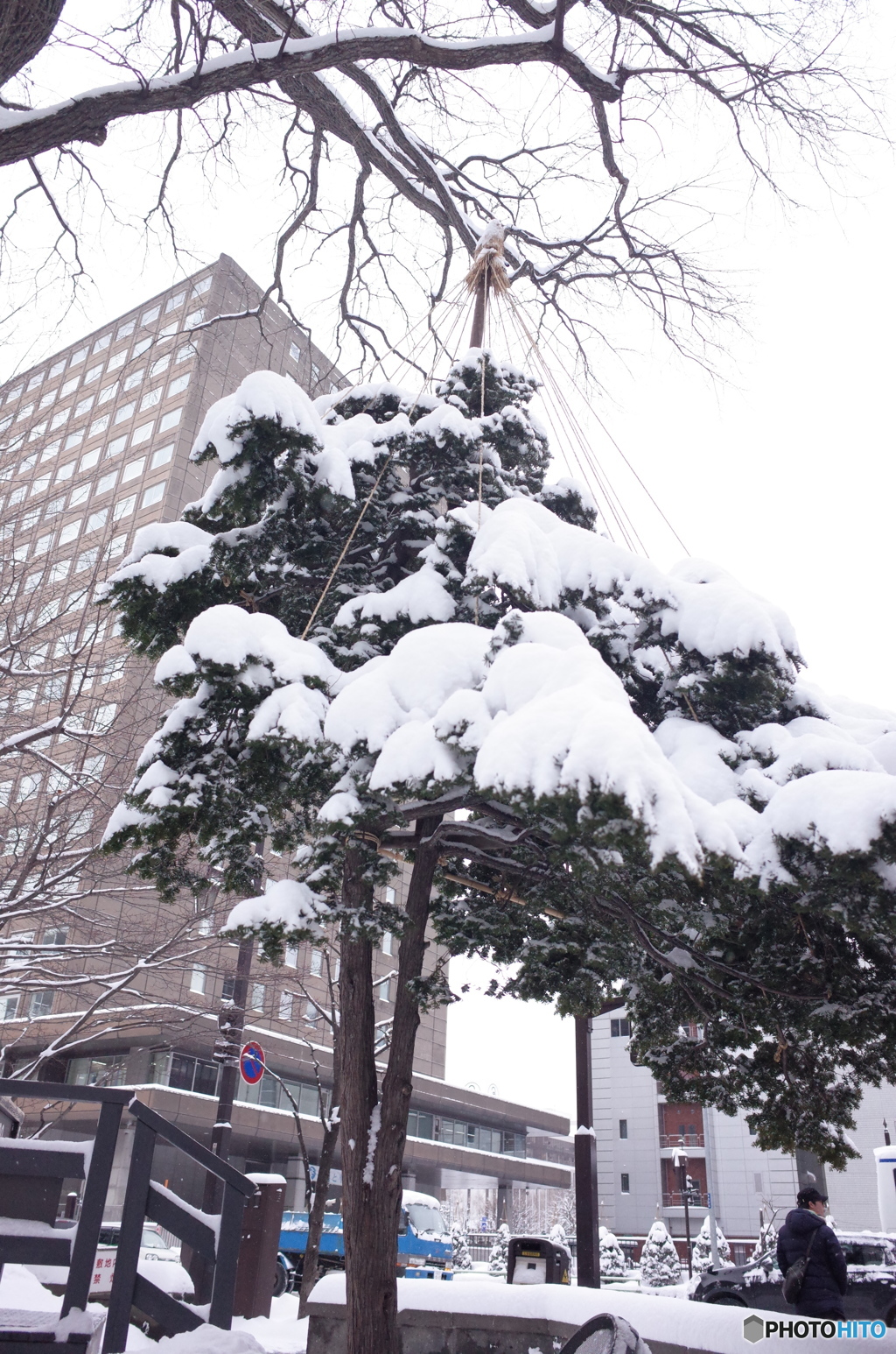 雪化粧