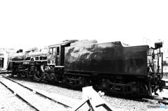 C61