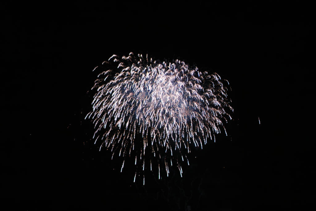 花火を手持ち撮影（1）