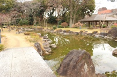 風情