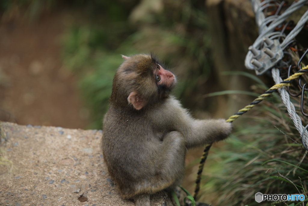 20161008123702_261A0338