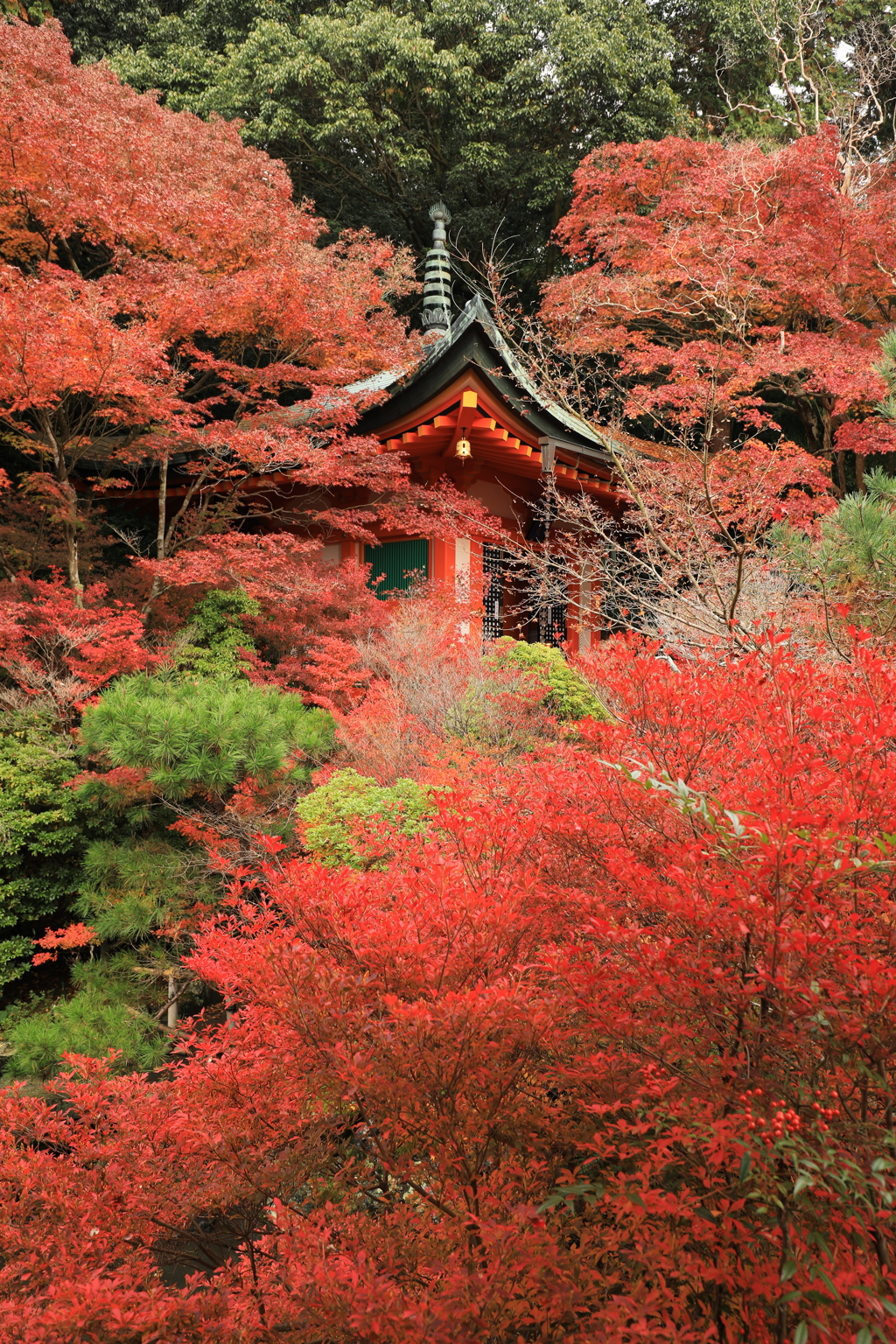 20161120135457_261A5565