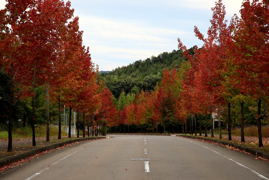 20161023130519_261A0858