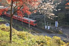 20161204094233_261A5731
