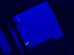 In the sky