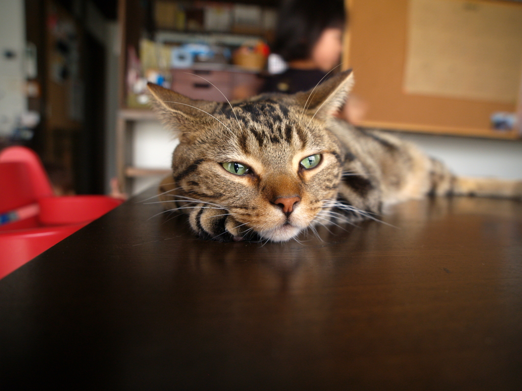 Ennui *