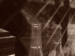 Louis Jadot