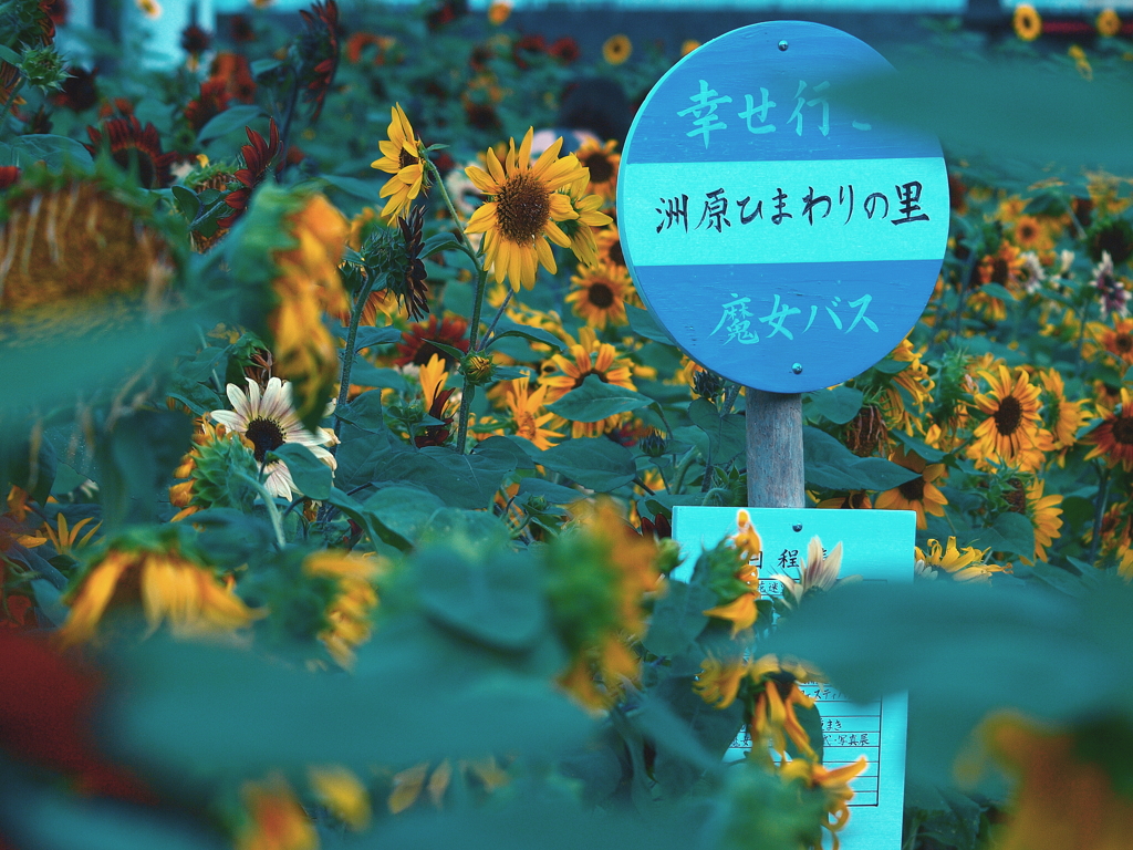 無題