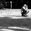 いつもの公園 *