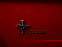 Mustang