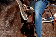 equitación
