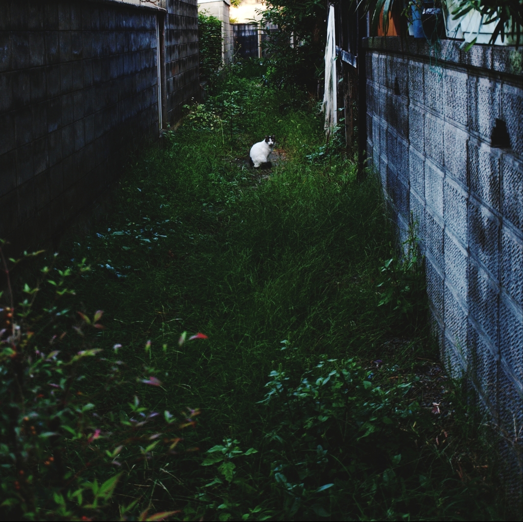 視線