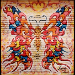 mariposa