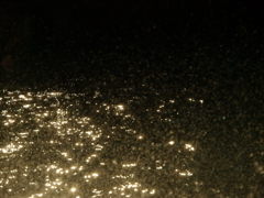 Momentum