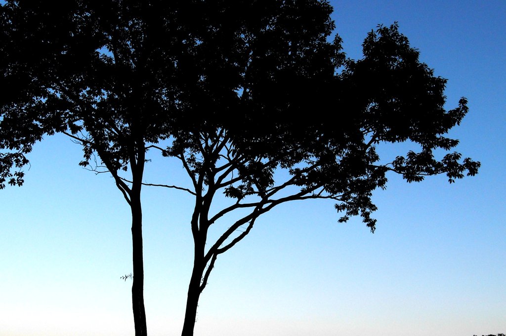 ribeira