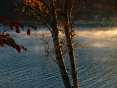 Autumn leaves