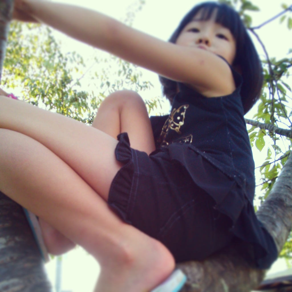 ape