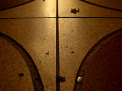 CROSSROADS