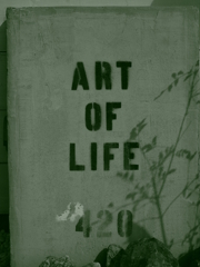 art of life