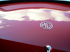 MG