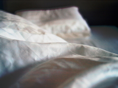 between the sheets