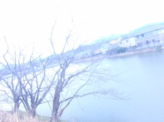 冬が滲み出てる。